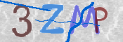 Image Anti-spam